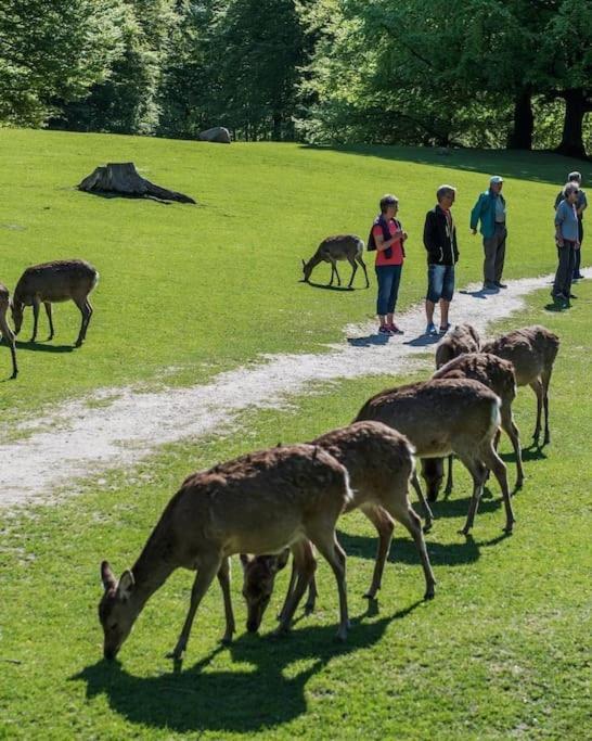 Aarhus 115アパートメント エクステリア 写真